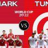 Превью матча Дания - Тунис