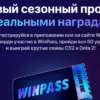 Обложка акции Winpass от Винлайн